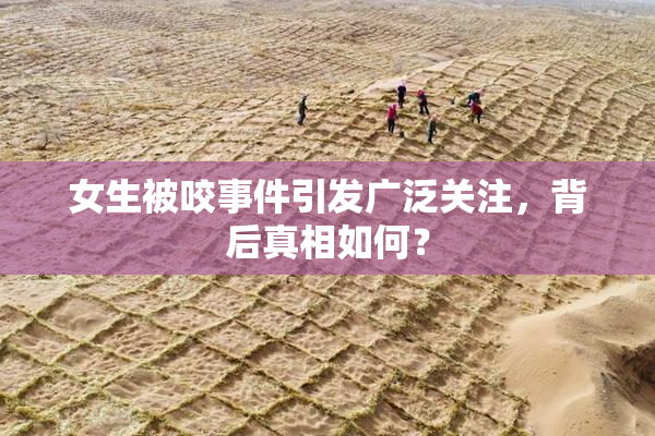 女生被咬事件引发广泛关注，背后真相如何？