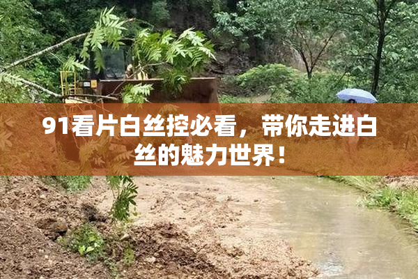 91看片白丝控必看，带你走进白丝的魅力世界！