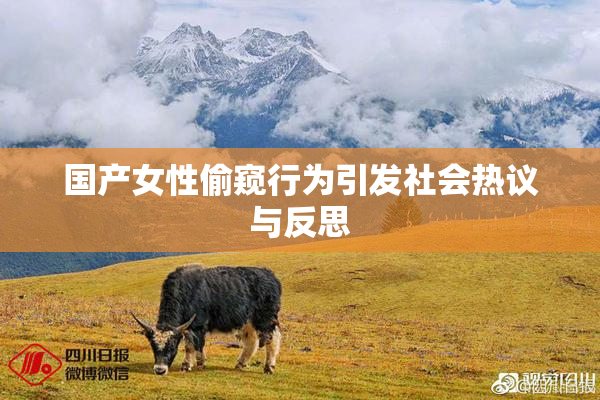 国产女性偷窥行为引发社会热议与反思