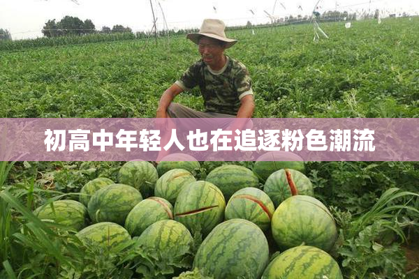 初高中年轻人也在追逐粉色潮流