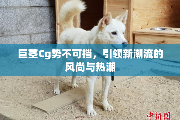 巨茎Cg势不可挡，引领新潮流的风尚与热潮