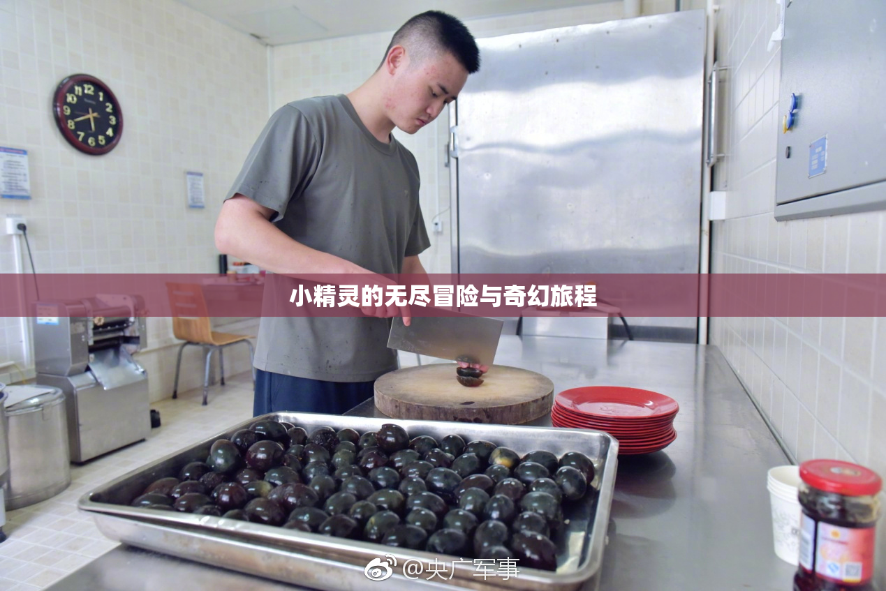 小精灵的无尽冒险与奇幻旅程