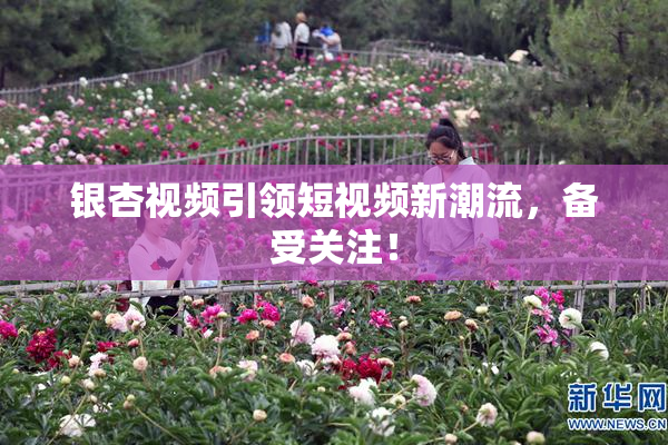 银杏视频引领短视频新潮流，备受关注！