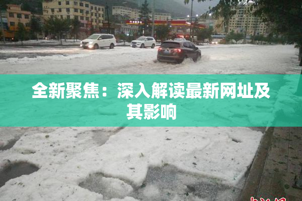 全新聚焦：深入解读最新网址及其影响
