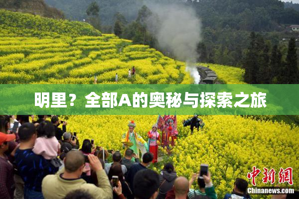 明里？全部A的奥秘与探索之旅