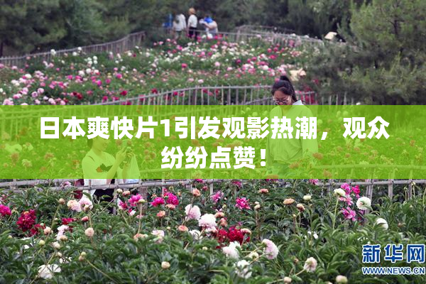 日本爽快片1引发观影热潮，观众纷纷点赞！