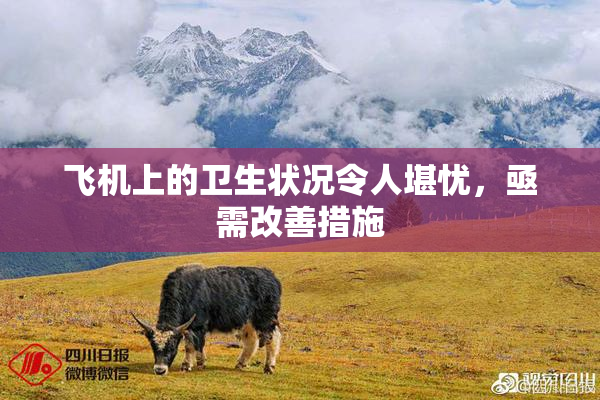 飞机上的卫生状况令人堪忧，亟需改善措施