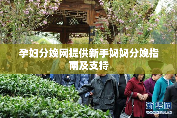 孕妇分娩网提供新手妈妈分娩指南及支持