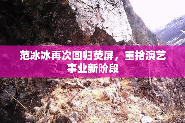 范冰冰再次回归荧屏，重拾演艺事业新阶段