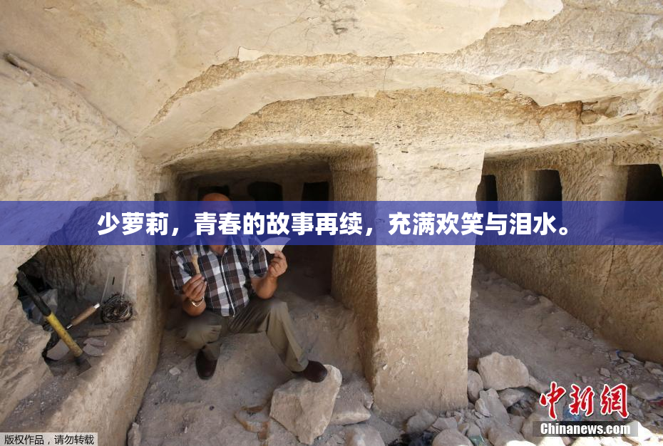 少萝莉，青春的故事再续，充满欢笑与泪水。