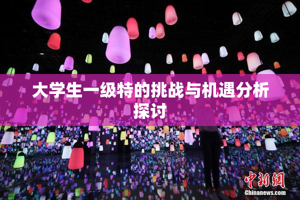 大学生一级特的挑战与机遇分析探讨