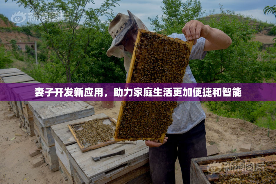 妻子开发新应用，助力家庭生活更加便捷和智能