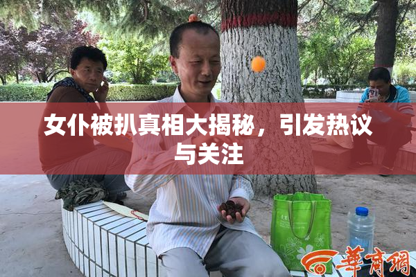 女仆被扒真相大揭秘，引发热议与关注