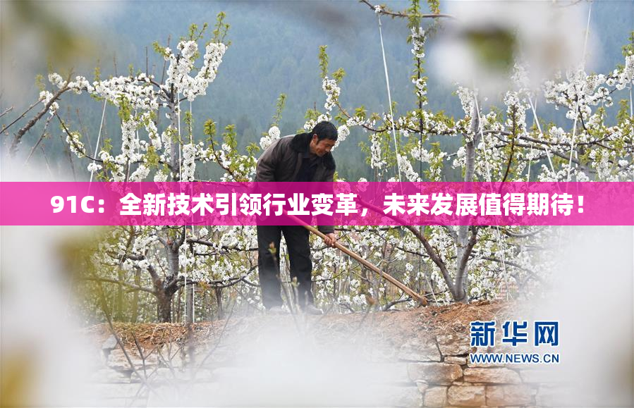 91C：全新技术引领行业变革，未来发展值得期待！