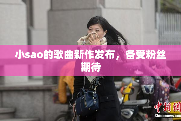 小sao的歌曲新作发布，备受粉丝期待