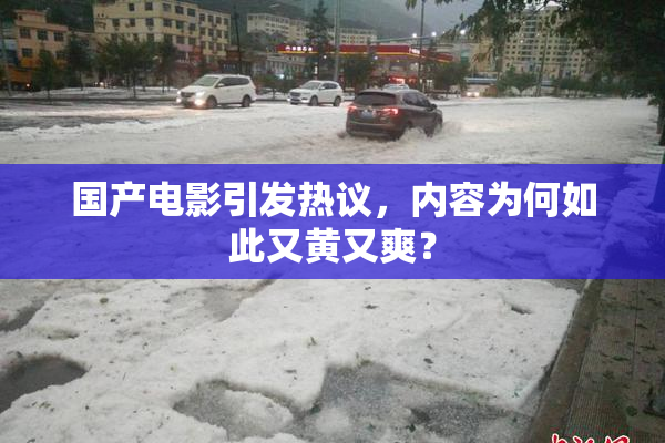 国产电影引发热议，内容为何如此又黄又爽？