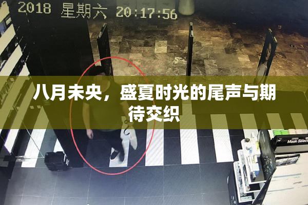 八月未央，盛夏时光的尾声与期待交织