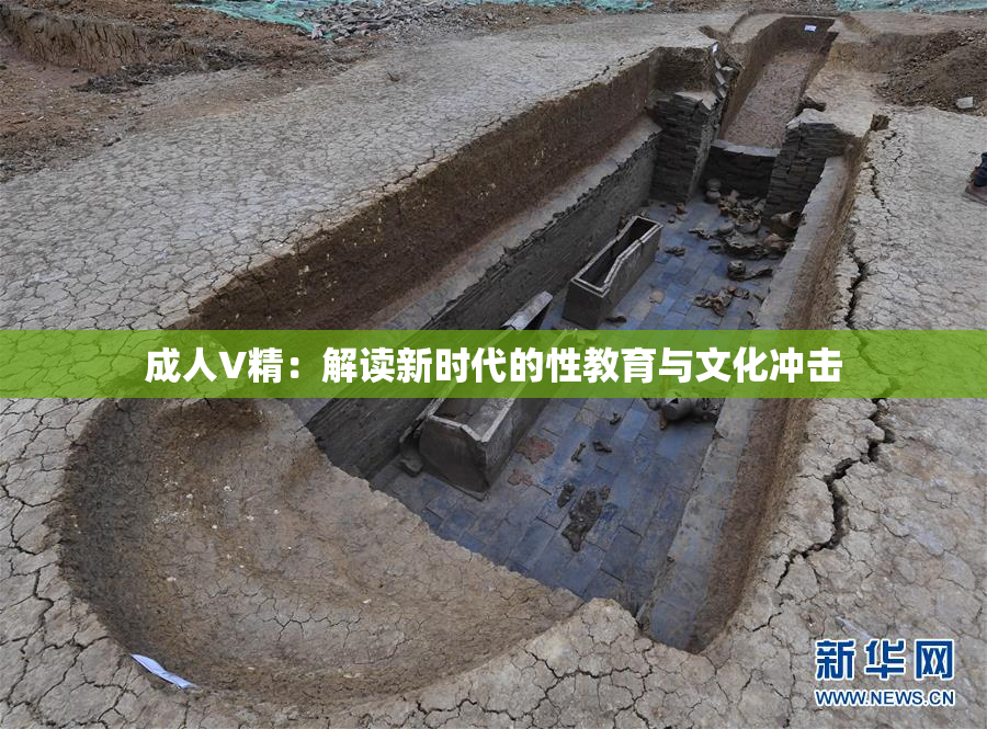 成人V精：解读新时代的性教育与文化冲击