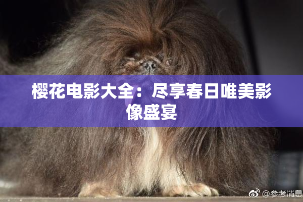 樱花电影大全：尽享春日唯美影像盛宴