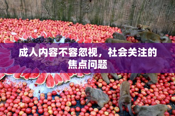 成人内容不容忽视，社会关注的焦点问题