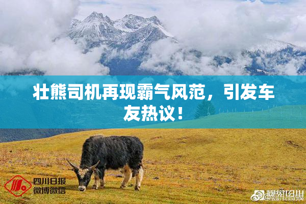 壮熊司机再现霸气风范，引发车友热议！
