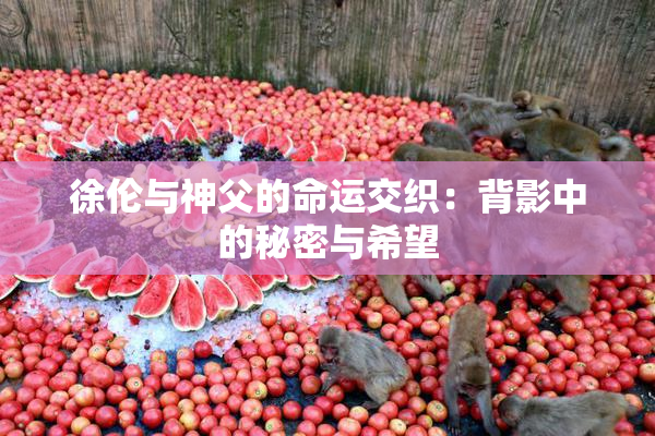 徐伦与神父的命运交织：背影中的秘密与希望