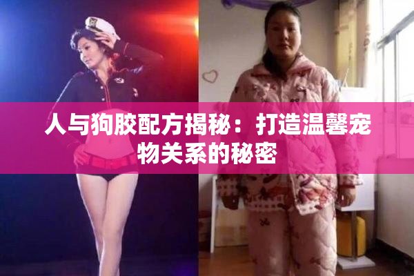 人与狗胶配方揭秘：打造温馨宠物关系的秘密