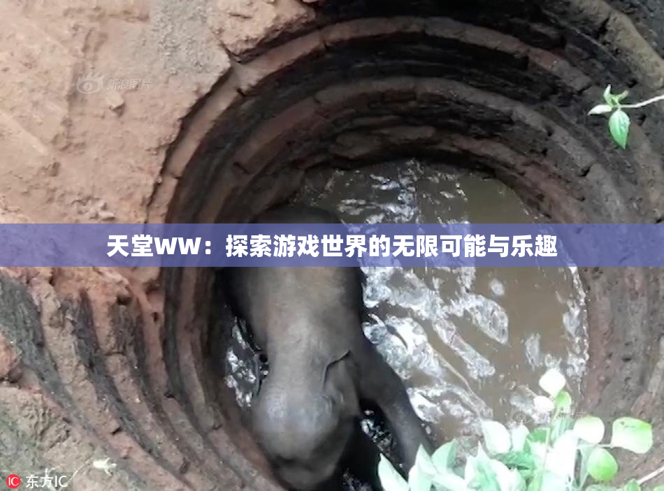 天堂WW：探索游戏世界的无限可能与乐趣
