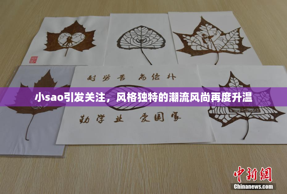 小sao引发关注，风格独特的潮流风尚再度升温