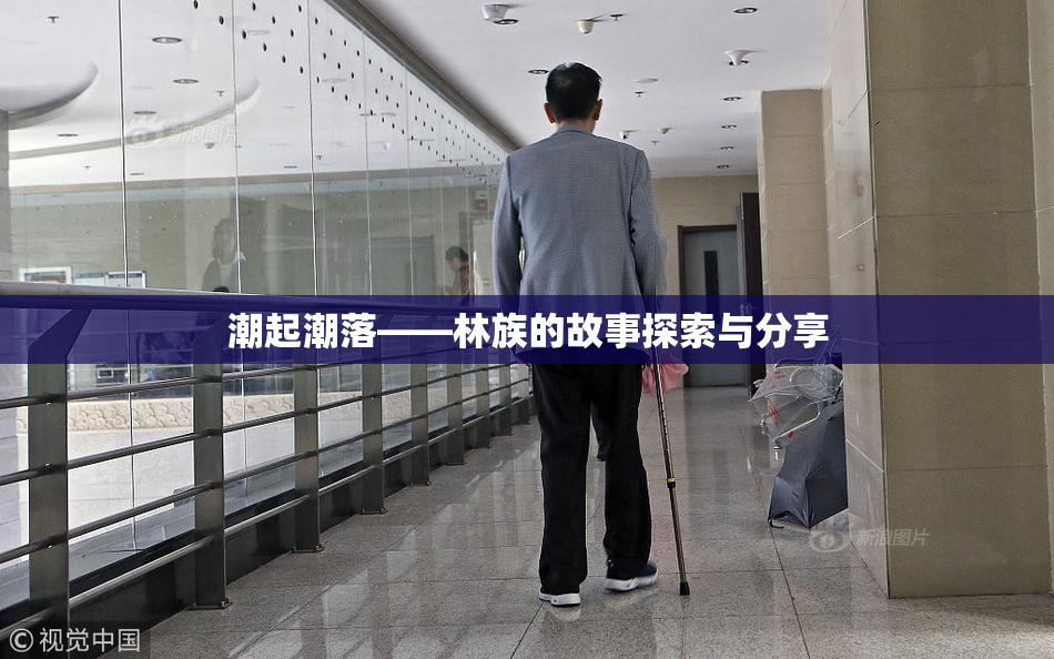 潮起潮落——林族的故事探索与分享