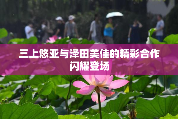 三上悠亚与泽田美佳的精彩合作闪耀登场