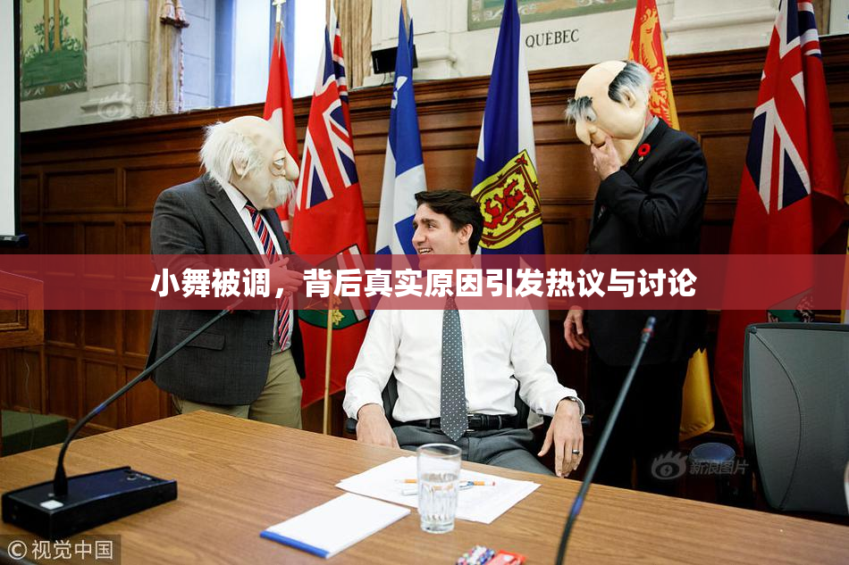 小舞被调，背后真实原因引发热议与讨论