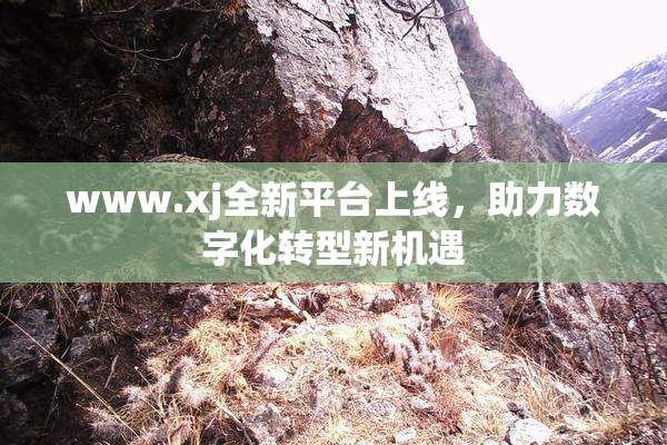 www.xj全新平台上线，助力数字化转型新机遇