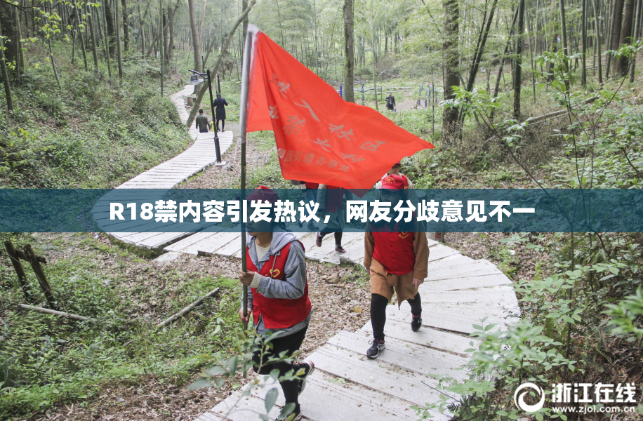 R18禁内容引发热议，网友分歧意见不一