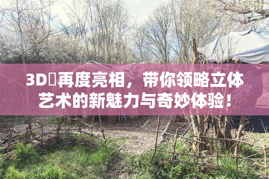3D姉再度亮相，带你领略立体艺术的新魅力与奇妙体验！