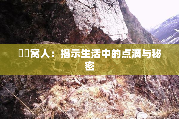 妺妺窝人：揭示生活中的点滴与秘密