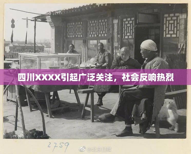 四川XXXX引起广泛关注，社会反响热烈