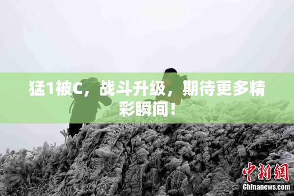 猛1被C，战斗升级，期待更多精彩瞬间！