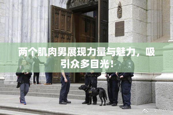 两个肌肉男展现力量与魅力，吸引众多目光！