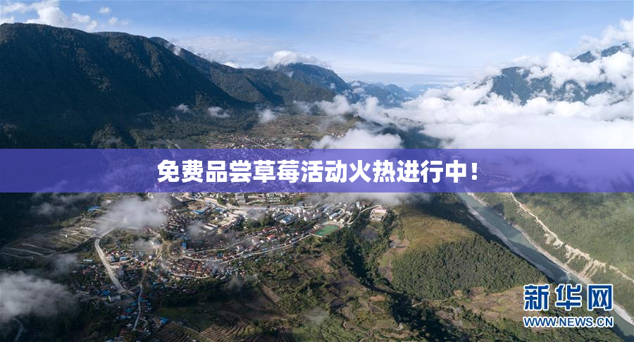 免费品尝草莓活动火热进行中！