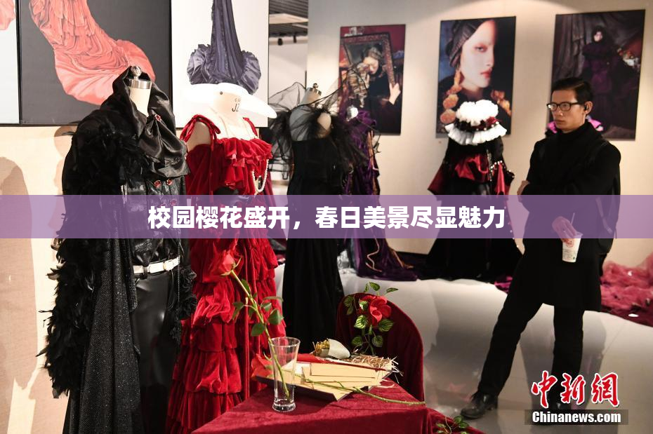校园樱花盛开，春日美景尽显魅力