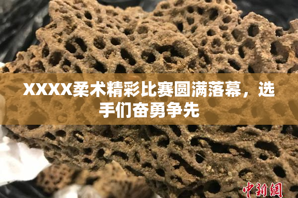 XXXX柔术精彩比赛圆满落幕，选手们奋勇争先