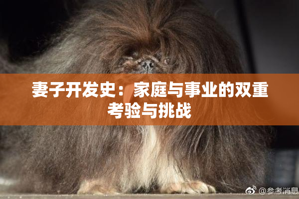 妻子开发史：家庭与事业的双重考验与挑战
