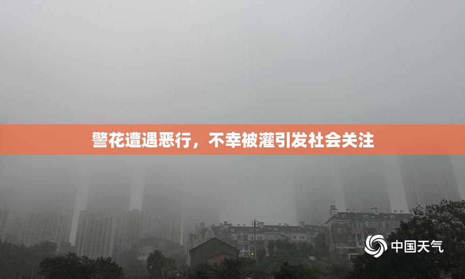 警花遭遇恶行，不幸被灌引发社会关注