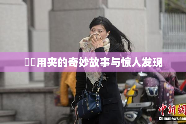 妺妺用夹的奇妙故事与惊人发现