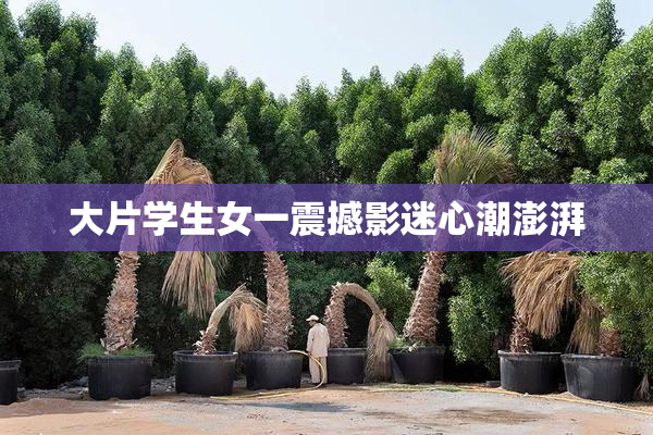 大片学生女一震撼影迷心潮澎湃