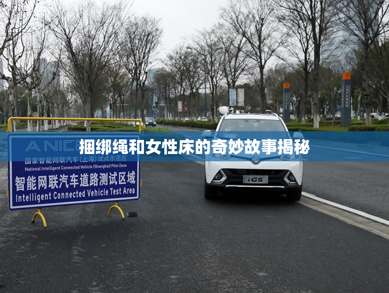 捆绑绳和女性床的奇妙故事揭秘