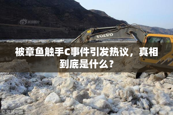 被章鱼触手C事件引发热议，真相到底是什么？