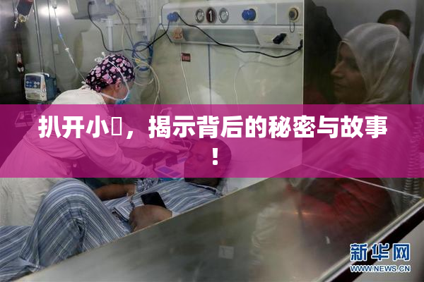 扒开小泬，揭示背后的秘密与故事！
