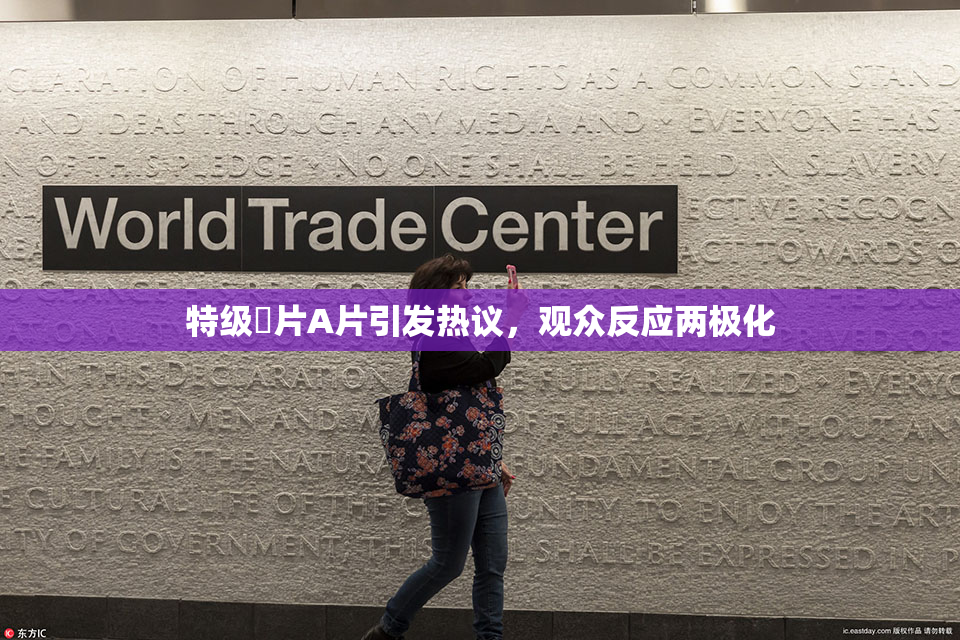 特级婬片A片引发热议，观众反应两极化